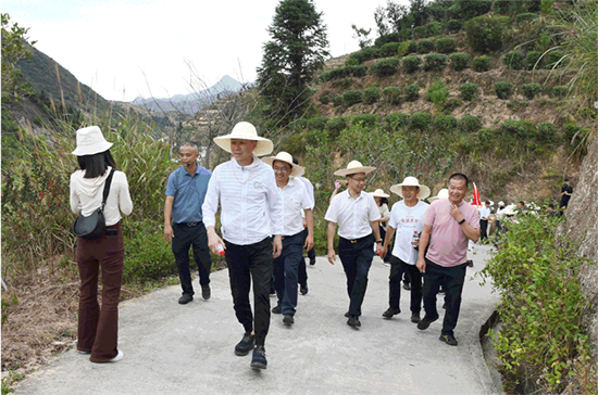 13 振興茶產業(yè) 媒體來助力 廈門市安溪商會組織媒體記者走進安溪茶鄉(xiāng)265.png